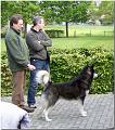 Zuchtzulassung 2010 026 1